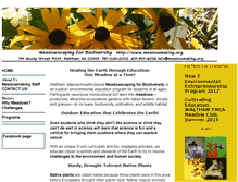Tablet Screenshot of meadowmaking.com
